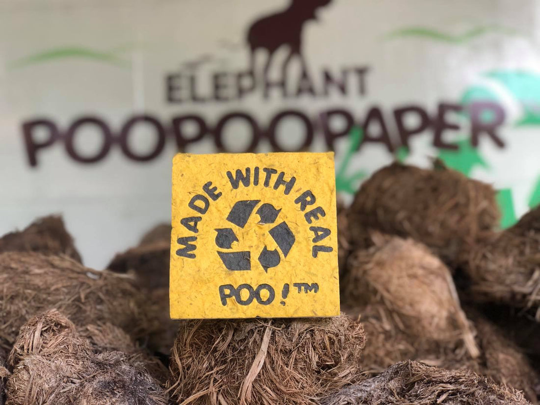 elephant poop paper made with real poo