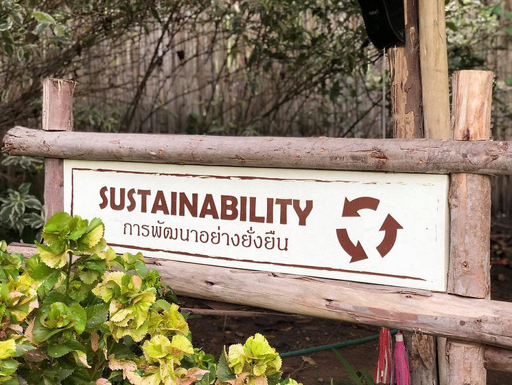 Unique Environmentally Friendly Gifts to Celebrate Earth Day 2025