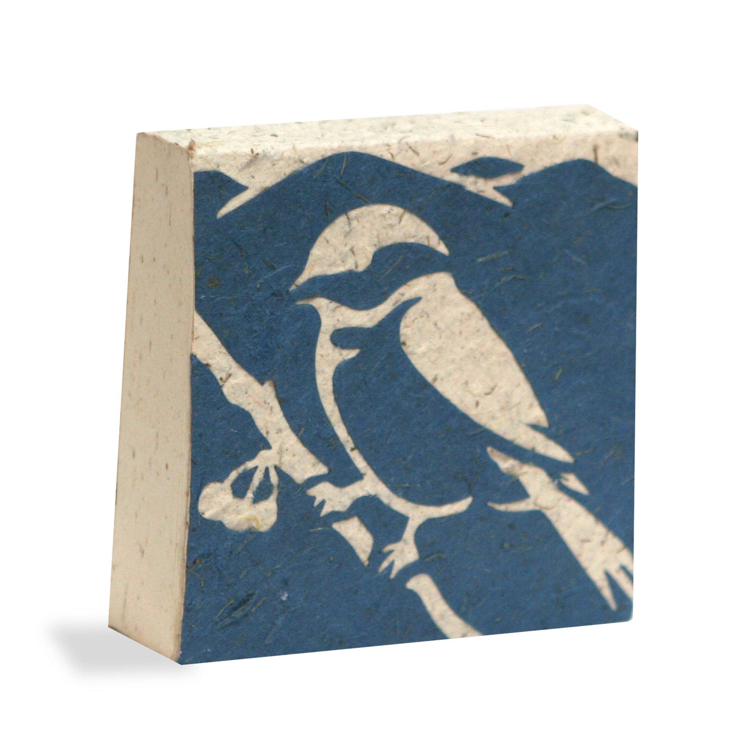 North American Birds Pre-Pak Elephant POOPOOPAPER (80 pieces)