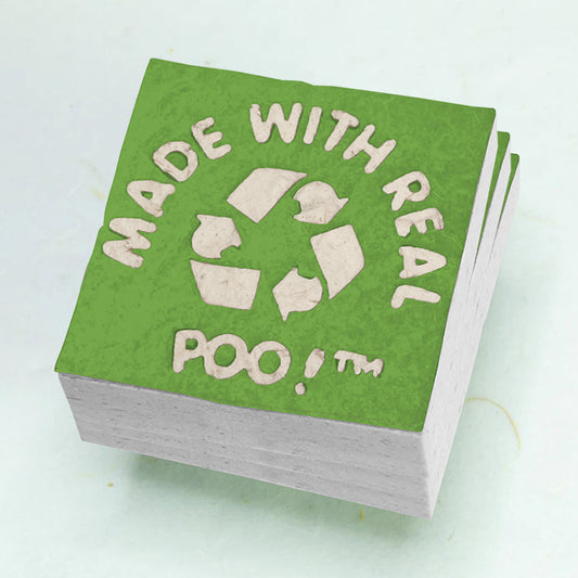 Made With Real Poo! - Elephant POOPOOPAPER - Green - Eco-friendly Scratch Pads (Set of 3) front stacked