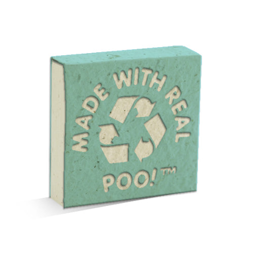 Made with Real Poo Pre-Pak Cow POOPOOPAPER (80 pieces)