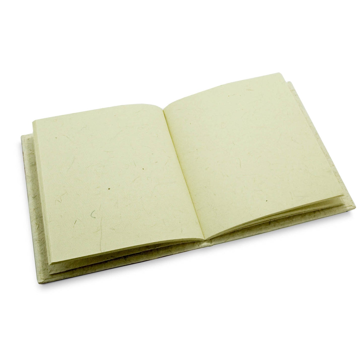 Classic Elephant Pre-Pak Elephant POOPOOPAPER (68 pieces)