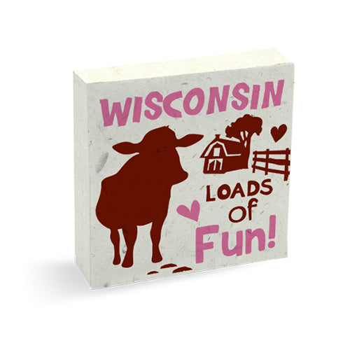 Someone Who Loves Me WISCONSIN Pre-Pak Cow POOPOOPAPER (80 pieces)