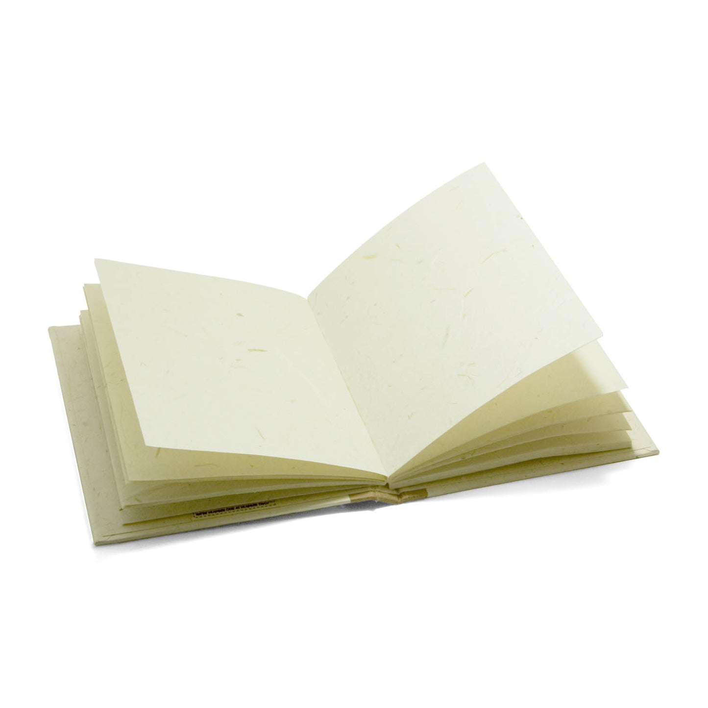 Classic Cow Pre-Pak Cow POOPOOPAPER (65 pieces)