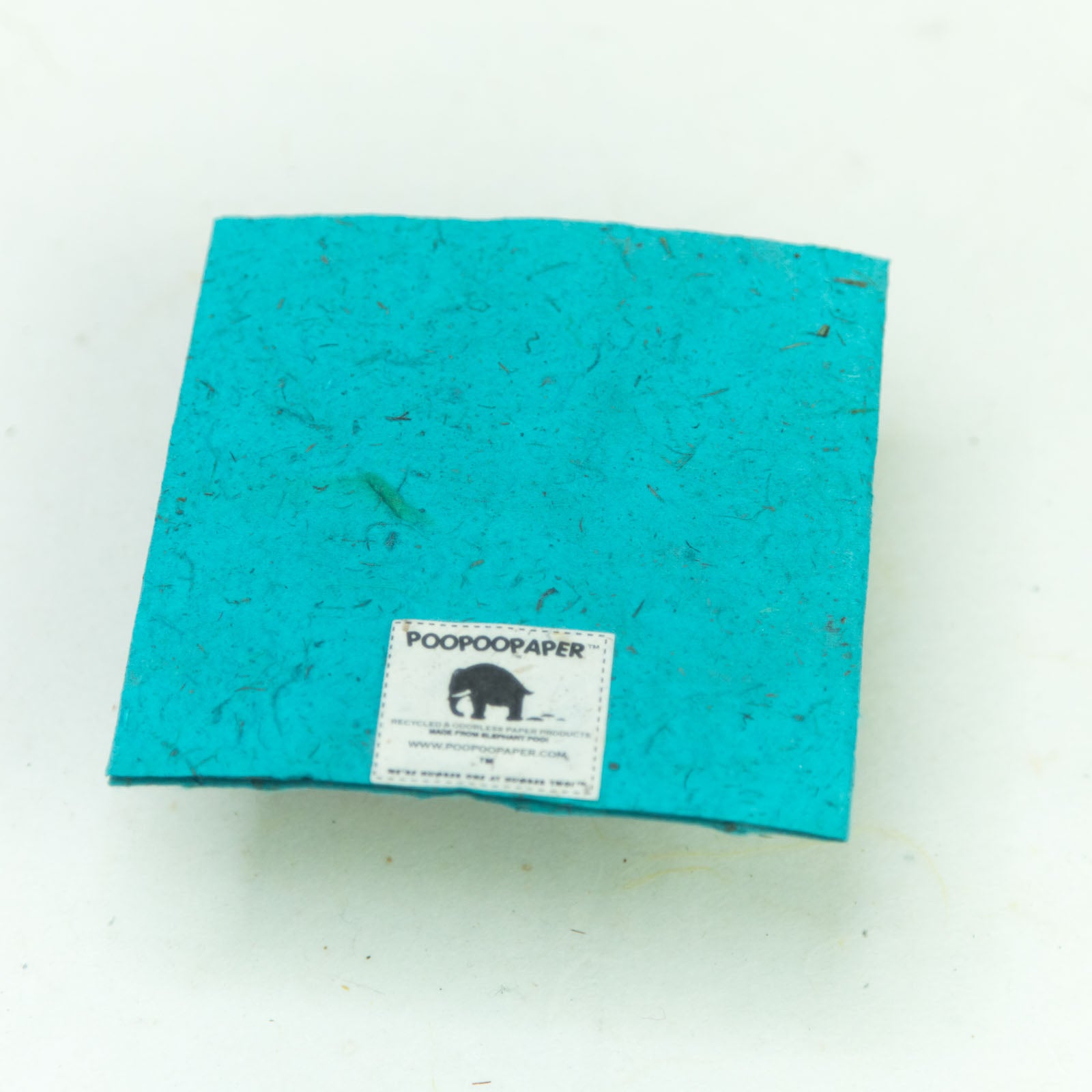 flower garden themed eco-friendly greeting card with a butterfly in teal and natural back
