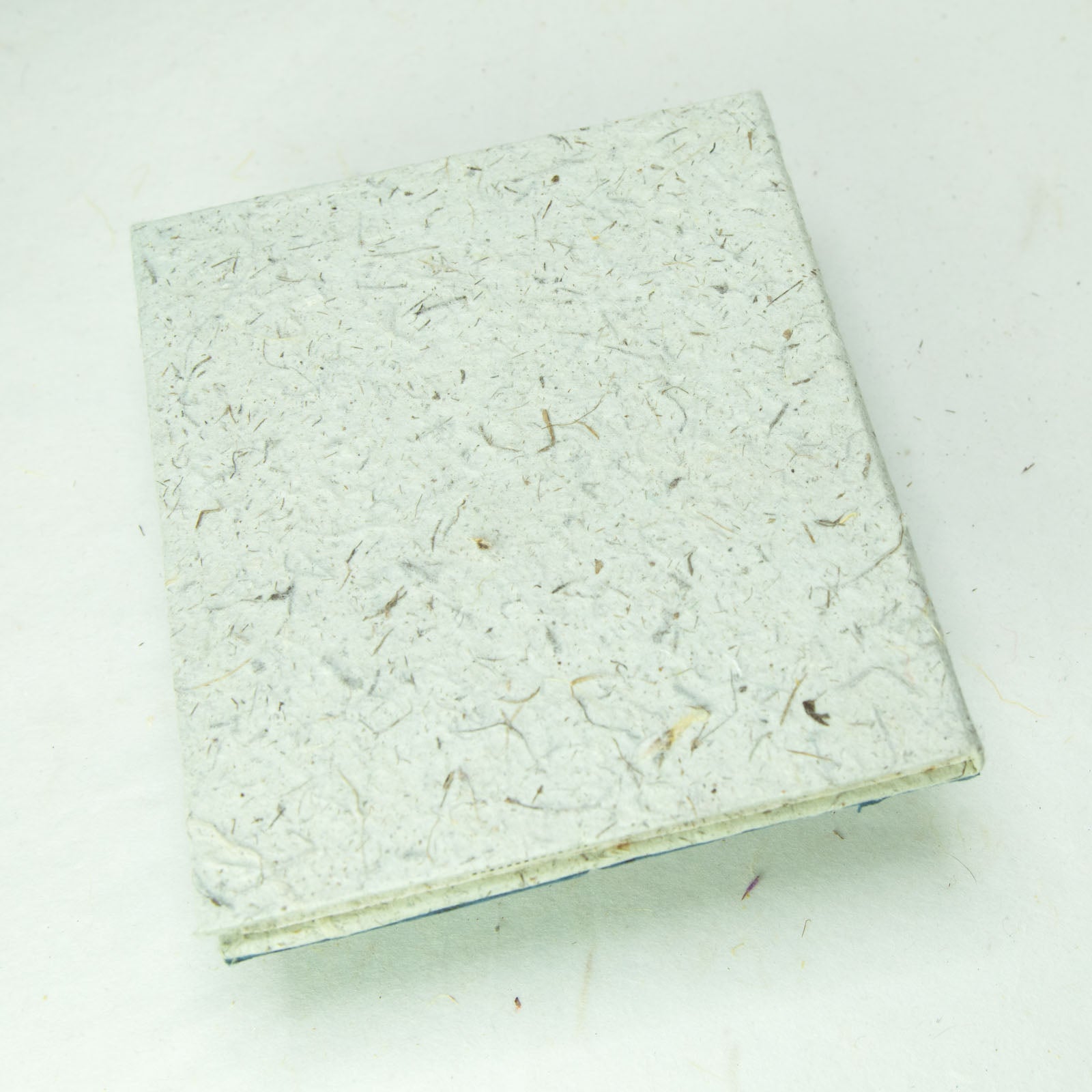 Eco-Friendly, Tree-Free, Classic Elephant POOPOOPAPER - Mom & Baby Journal - Blue - Back