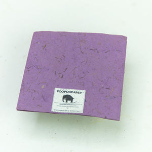 Flower Garden - Greeting Card - Single Purple Flower -  (Set of 5)