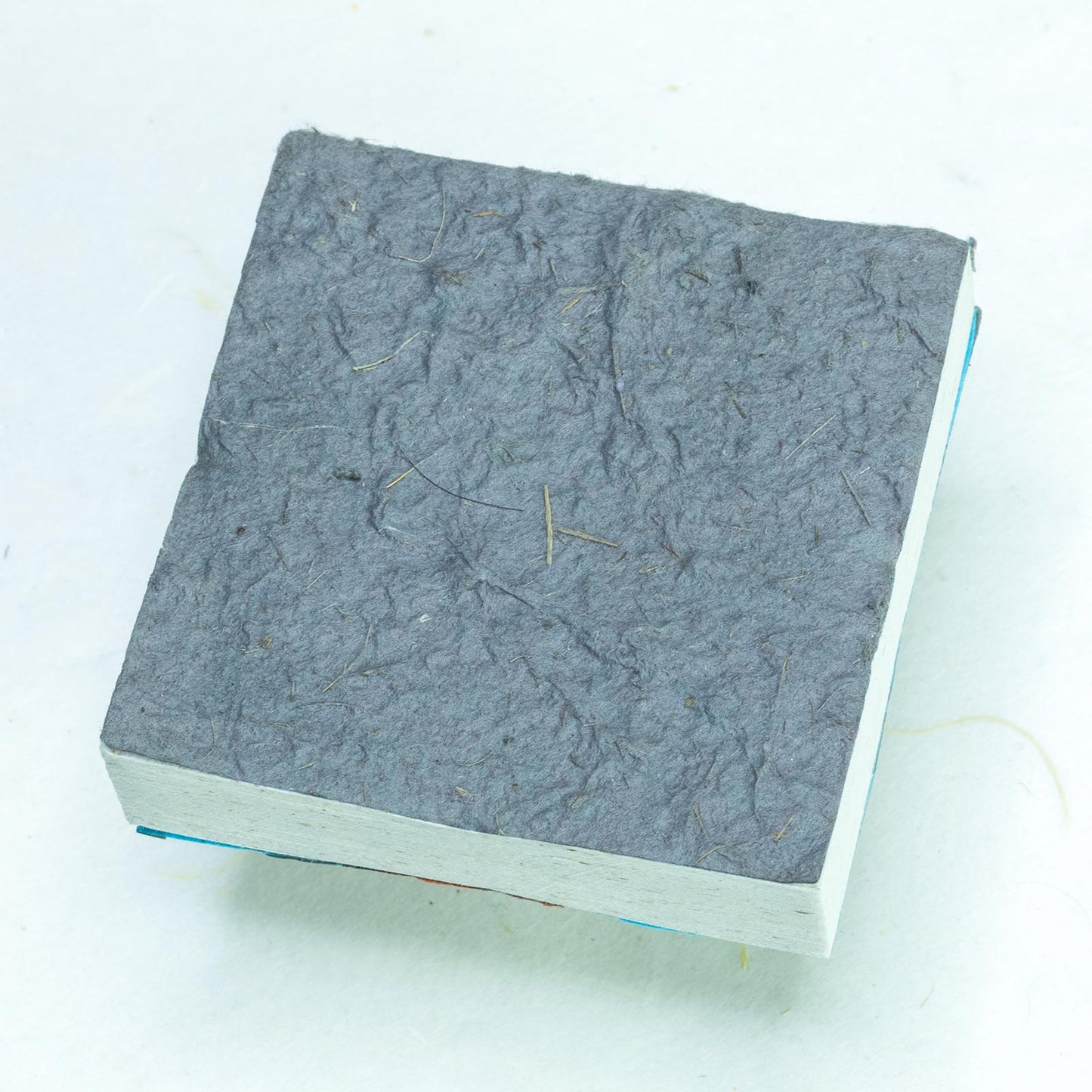 Tiger "Whoop-Dee-DOO!" Eco-friendly Scratch Pads - Set of 3 - back