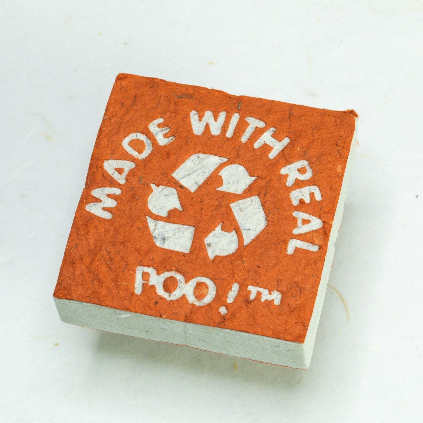 Made With Real Poo! - Horse POOPOOPAPER - Orange - Scratch Pad (Set of 3)