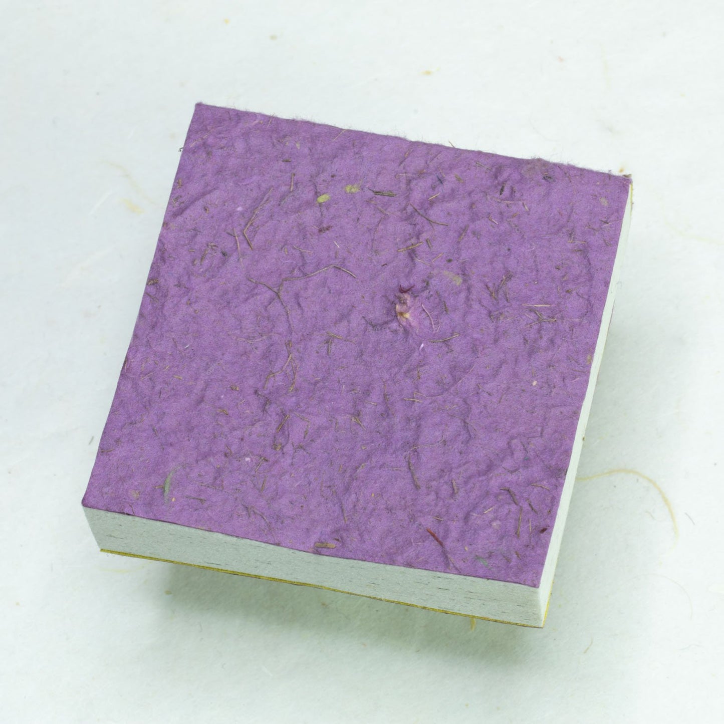 Savannah Sunset Eco-friendly Scratch Pads - Rhinoceros - Purple - Set of 3 - back