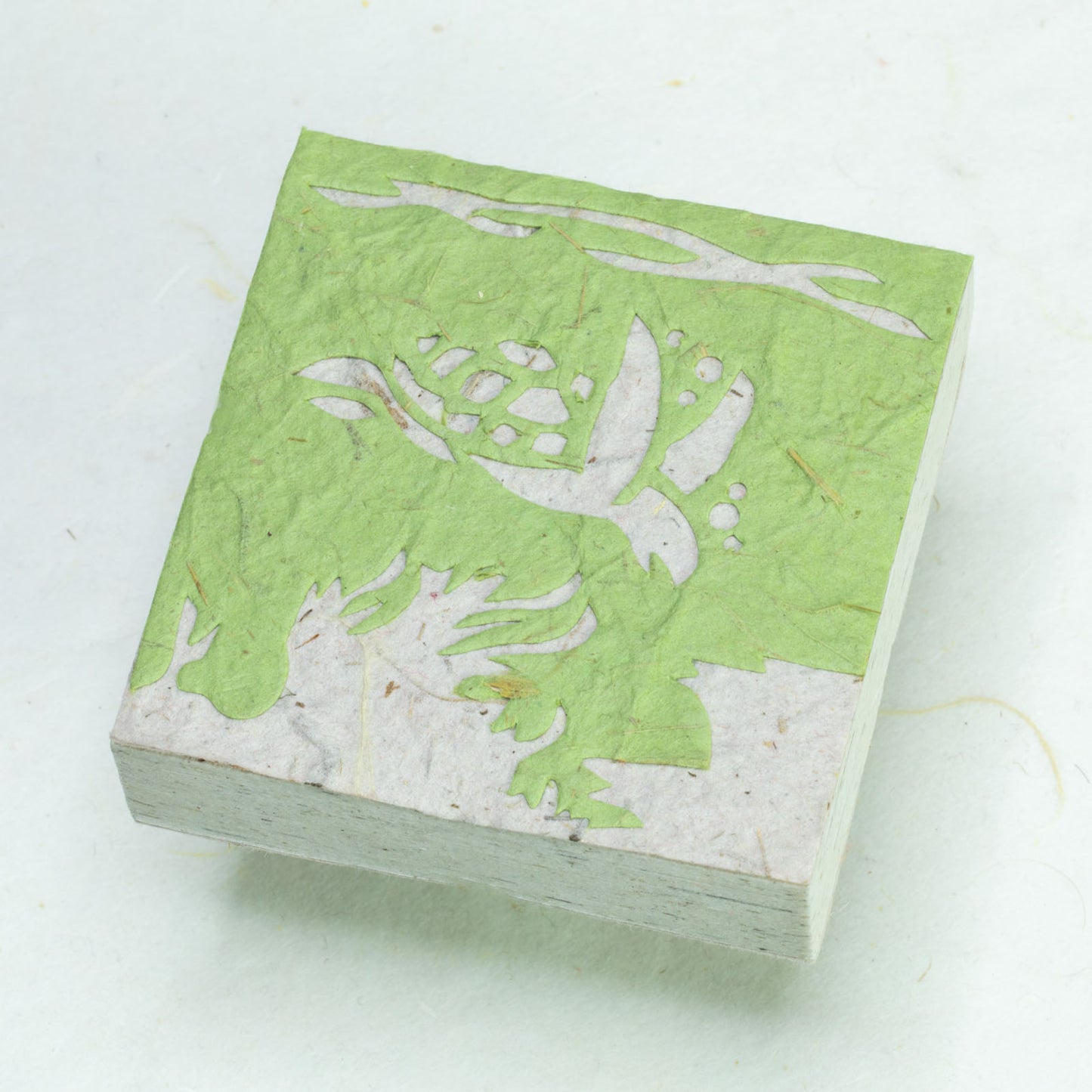 Sea-Life - Sea Turtle - Eco-friendly Note Box - front