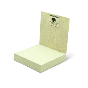 Turtle Scratch Pad - Green (Set of 3)