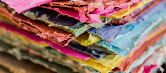 The Difference: Tree-Free Paper vs Recycled Paper – POOPOOPAPER™