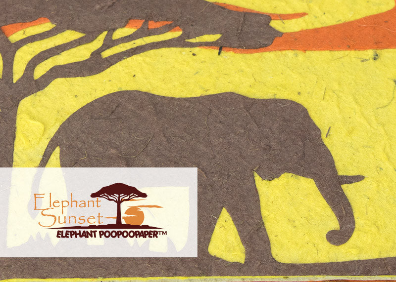 Eco-Friendly, Tree-Free, Organic Paper Made from Poo - African Wilderness Themed - Savannah Sunset