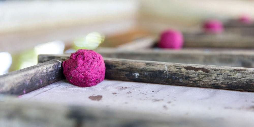 Explore Our Many Environmentally Friendly Gifts – POOPOOPAPER™