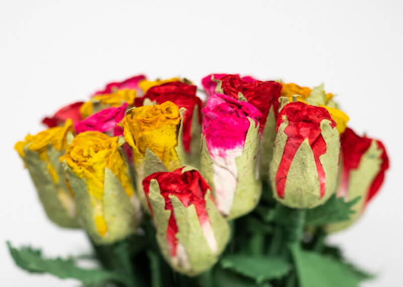 Red, Pink & Yellow, Tree Free, Eco-Friendly, POOPOOPAPER Roses