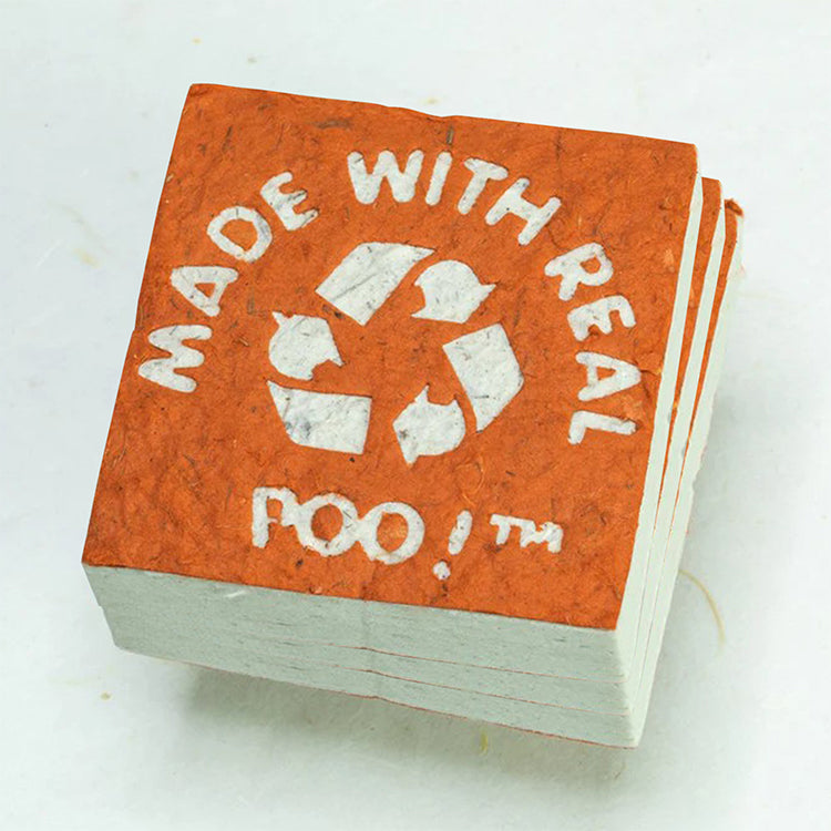 Made With Real Poo! - Cow - POOPOOPAPER - Orange - Eco-friendly Scratch Pads (Set of 3)