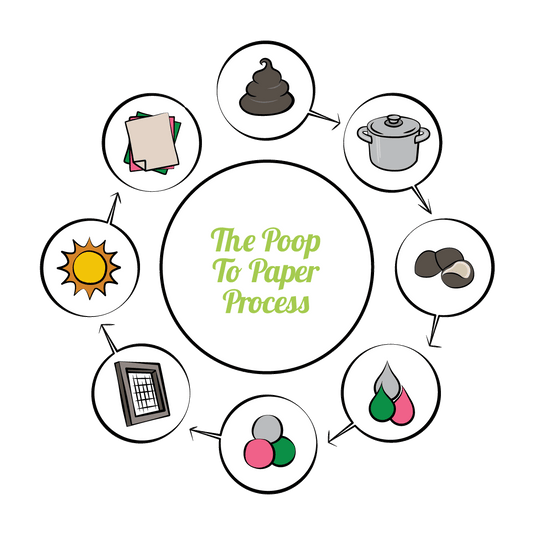 Poopoopaper The POOPOOPAPER Poop to Paper Process – POOPOOPAPER™