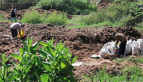 Poop Collecting The POOPOOPAPER Poop to Paper Process – POOPOOPAPER™