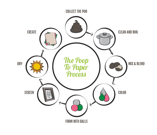 Sustainable Gifts Made From Odorless Animal Poo – POOPOOPAPER™