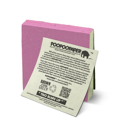 ecofriendly scratch pad back with POOPOOPAPER story card