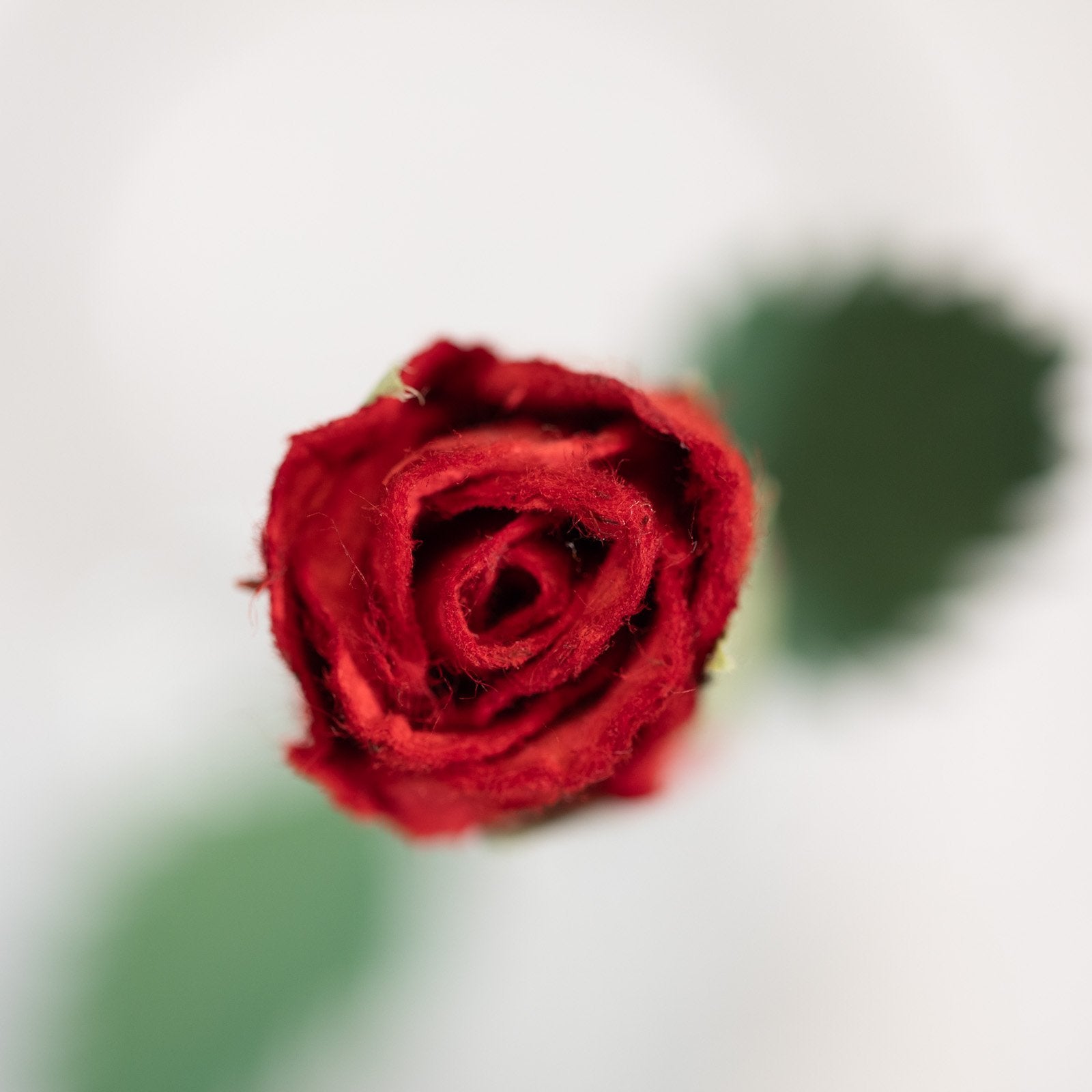 paper flower bouquet - Single Red POOPOOPAPER Roses - Single Rose - Top View