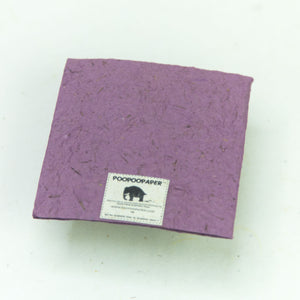 Flower Garden - Greeting Card - Three Purple Flowers -  (Set of 5)