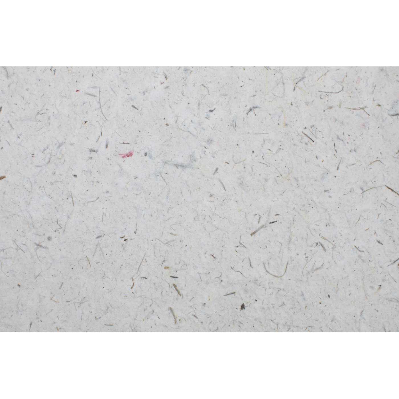 Poopoopaper Natural Handmade Paper Parent Sheets (Set of 6) — POOPOOPAPER™
