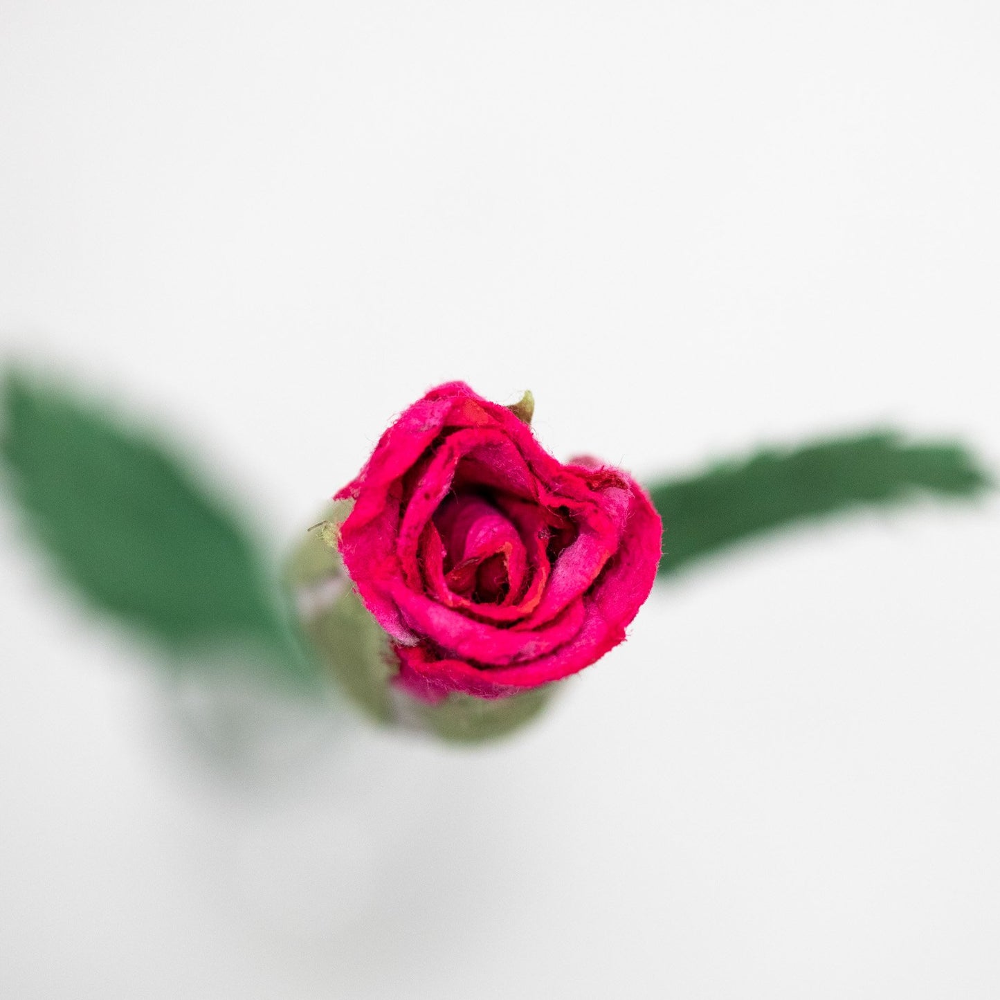 eco-friendly paper flower Single Pink Eco-Friendly, Sustainable, POOPOOPAPER Rose - Top View Close Up