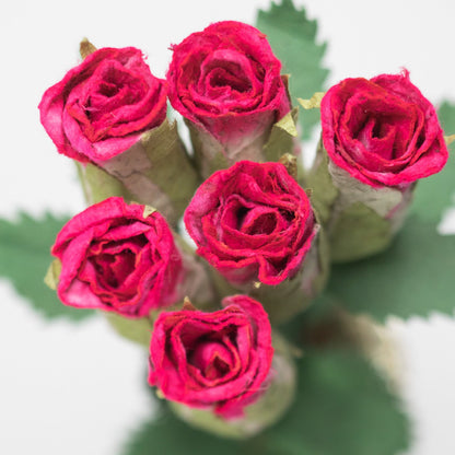 paper flower Bouquet of Six Pink Eco-Friendly, Sustainable, POOPOOPAPER Roses - Top View