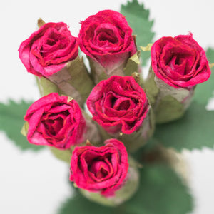 Bouquet of Six Pink Eco-Friendly, Sustainable, POOPOOPAPER Roses - Top View