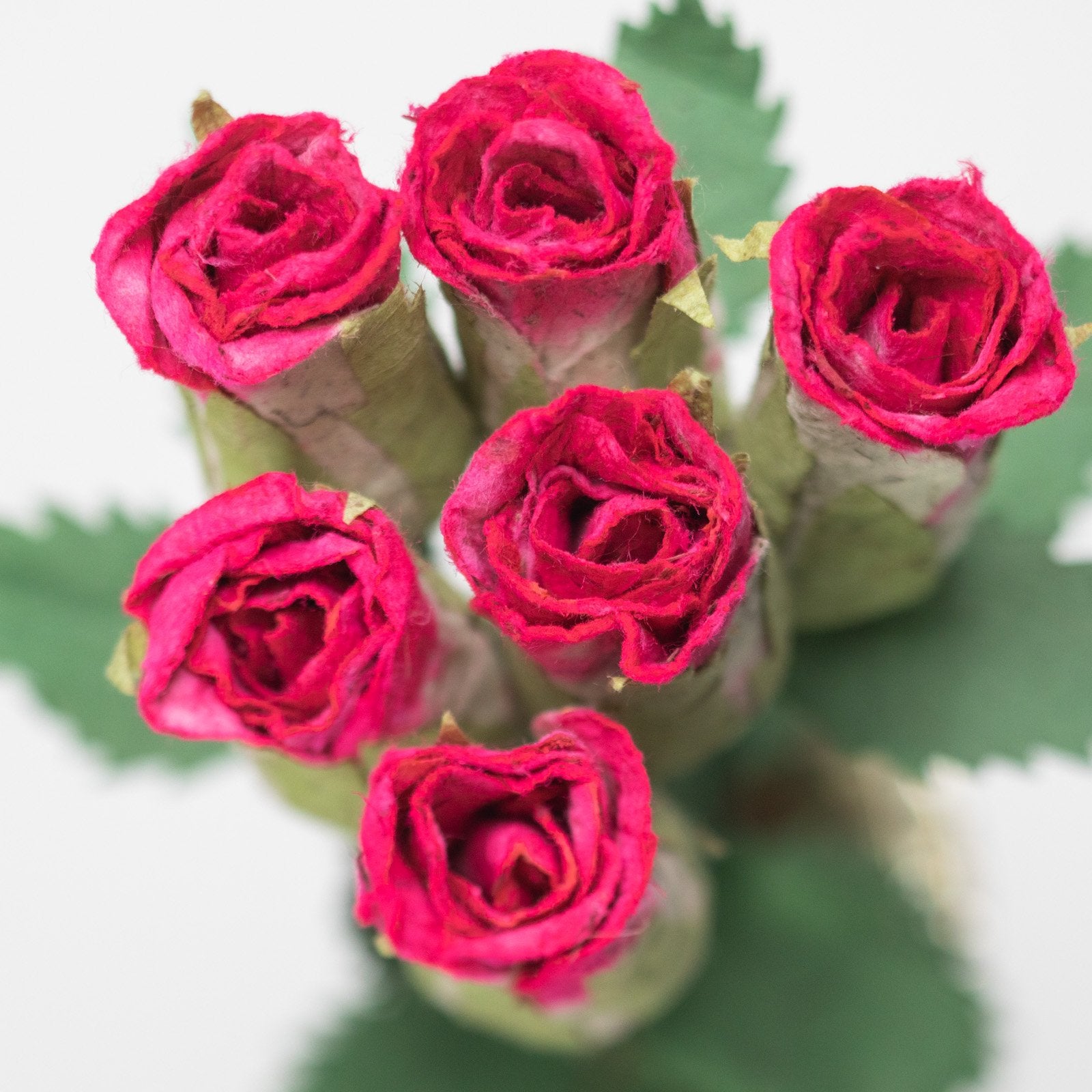 Bouquet of Six Pink Eco-Friendly, Sustainable, POOPOOPAPER Roses - Top View