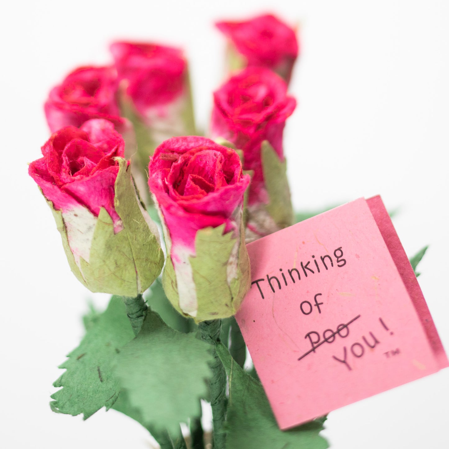 Bouquet of Six Pink Eco-Friendly, Sustainable, POOPOOPAPER Roses