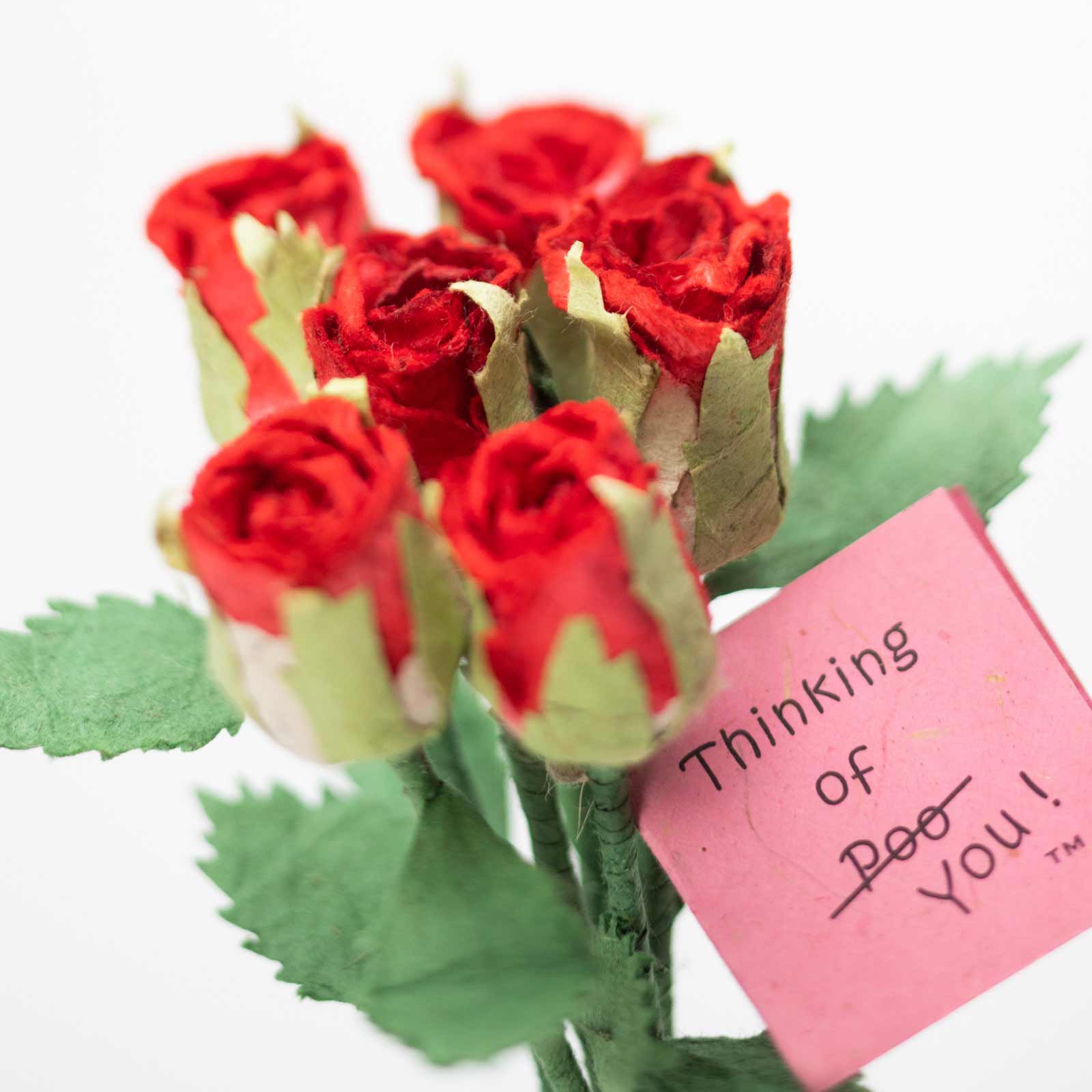 Bouquet of Six Red, Eco-Friendly, Sustainable Roses and Card made from Elephant, Cow or Horse POOPOOPAPER.