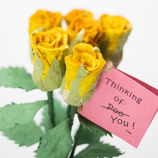 paper flower Bouquet of Six Yellow, Eco-Friendly, Sustainable POOPOOPAPER Roses - with Card