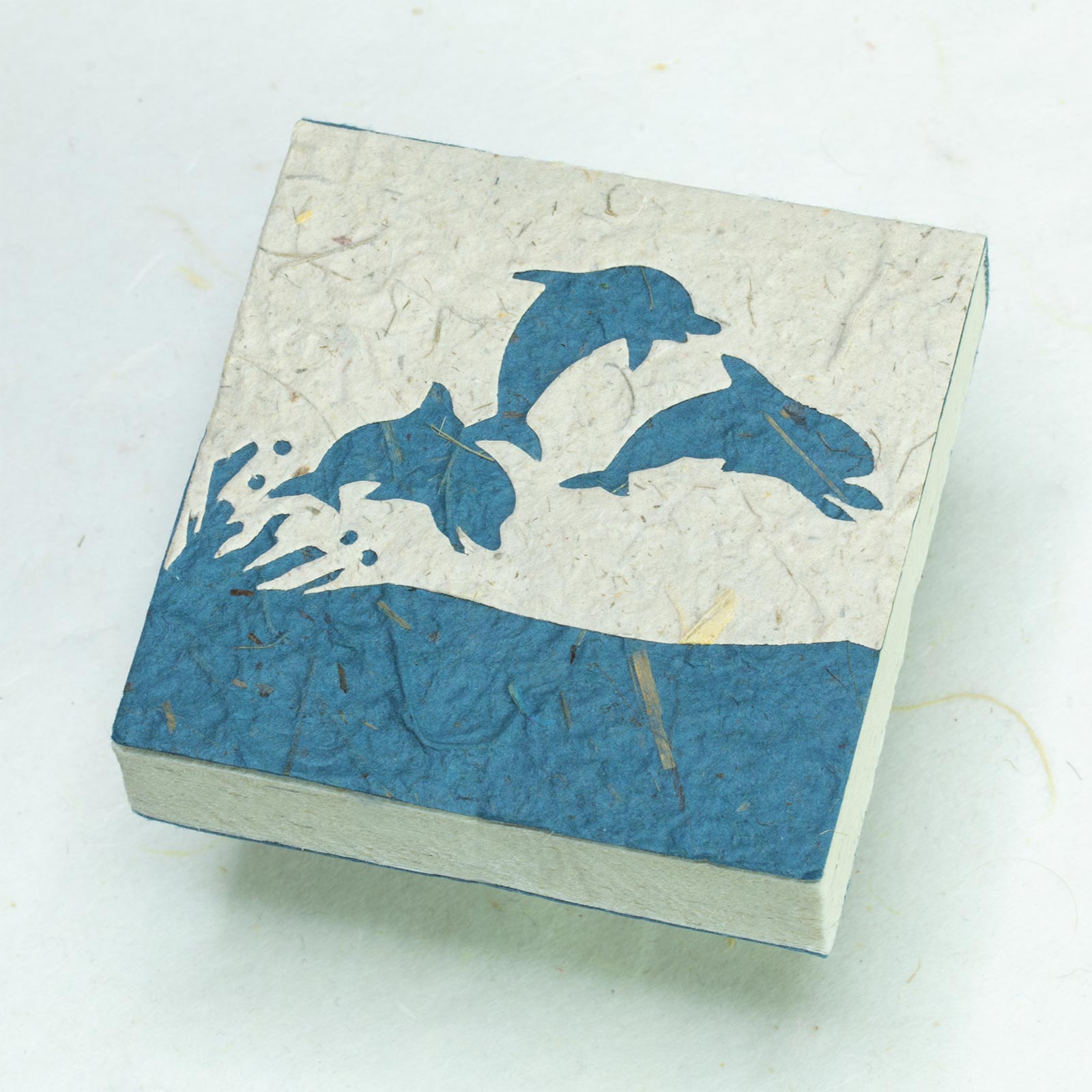 Sea Life Dolphin - Scratch Pad 