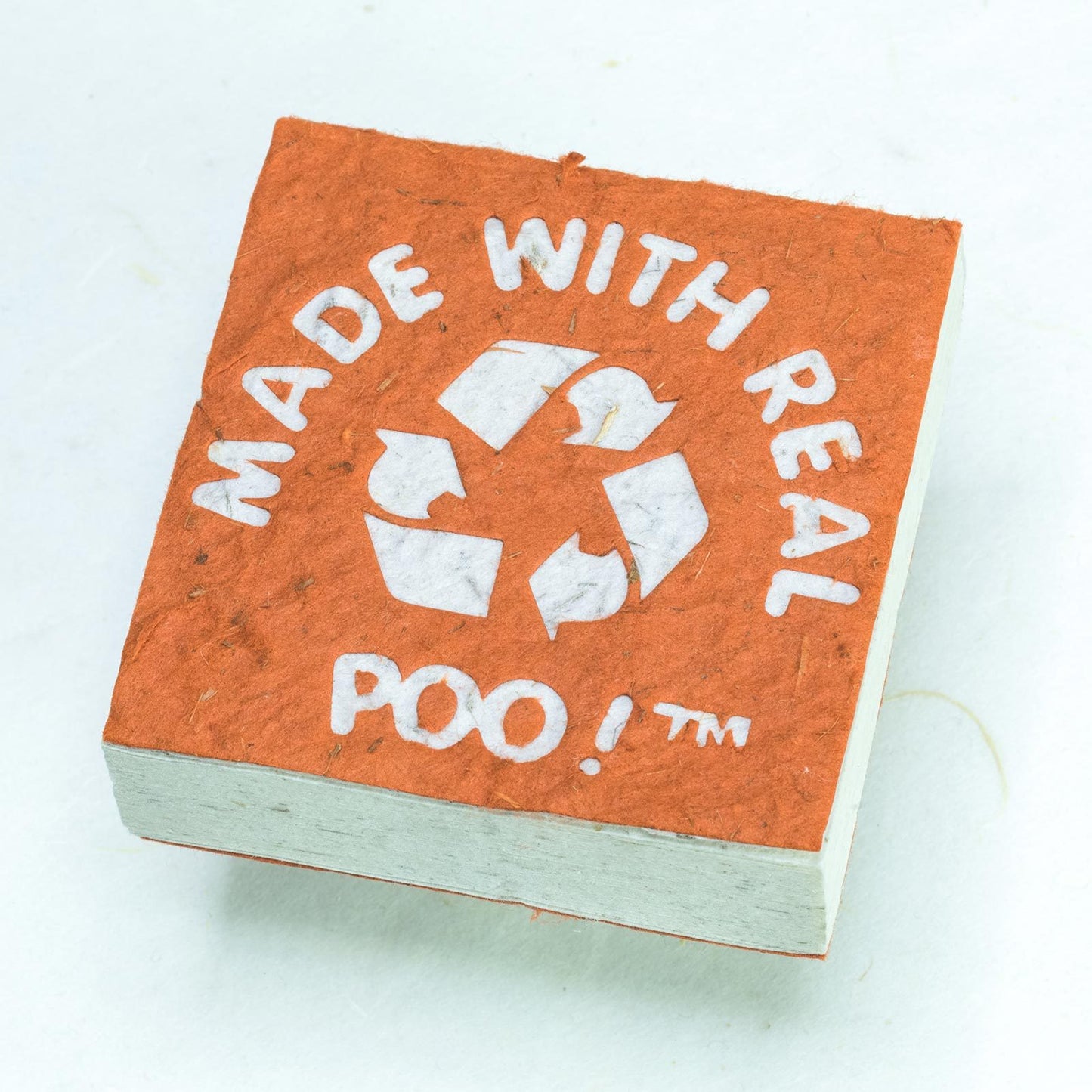 Made With Real Poo! Scratch Pad set - Organic, Tree-Free Cow Paper - Orange - Front