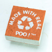 Load image into Gallery viewer, Made With Real Poo! Scratch Pad set - Organic, Tree-Free Cow Paper - Orange - Front