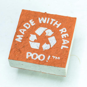 Made With Real Poo! Scratch Pad set - Organic, Tree-Free Cow Paper - Orange - Front