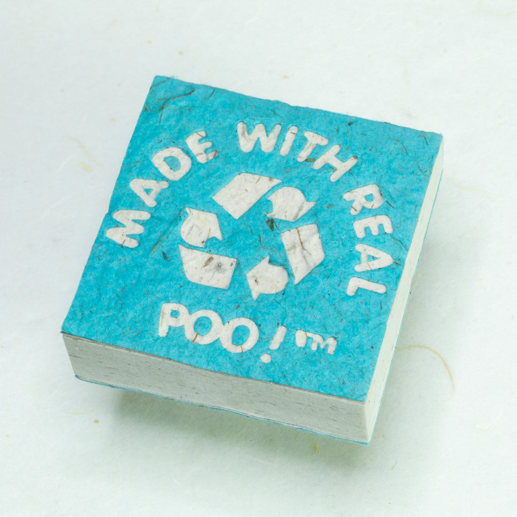 Made With Real Poo! - Horse POOPOOPAPER - Turquoise - Scratch Pad (Set of 3) - Front