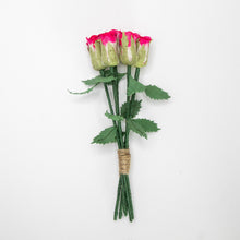 Load image into Gallery viewer, Bouquet of Six Pink Eco-Friendly, Sustainable, POOPOOPAPER Roses - Full View