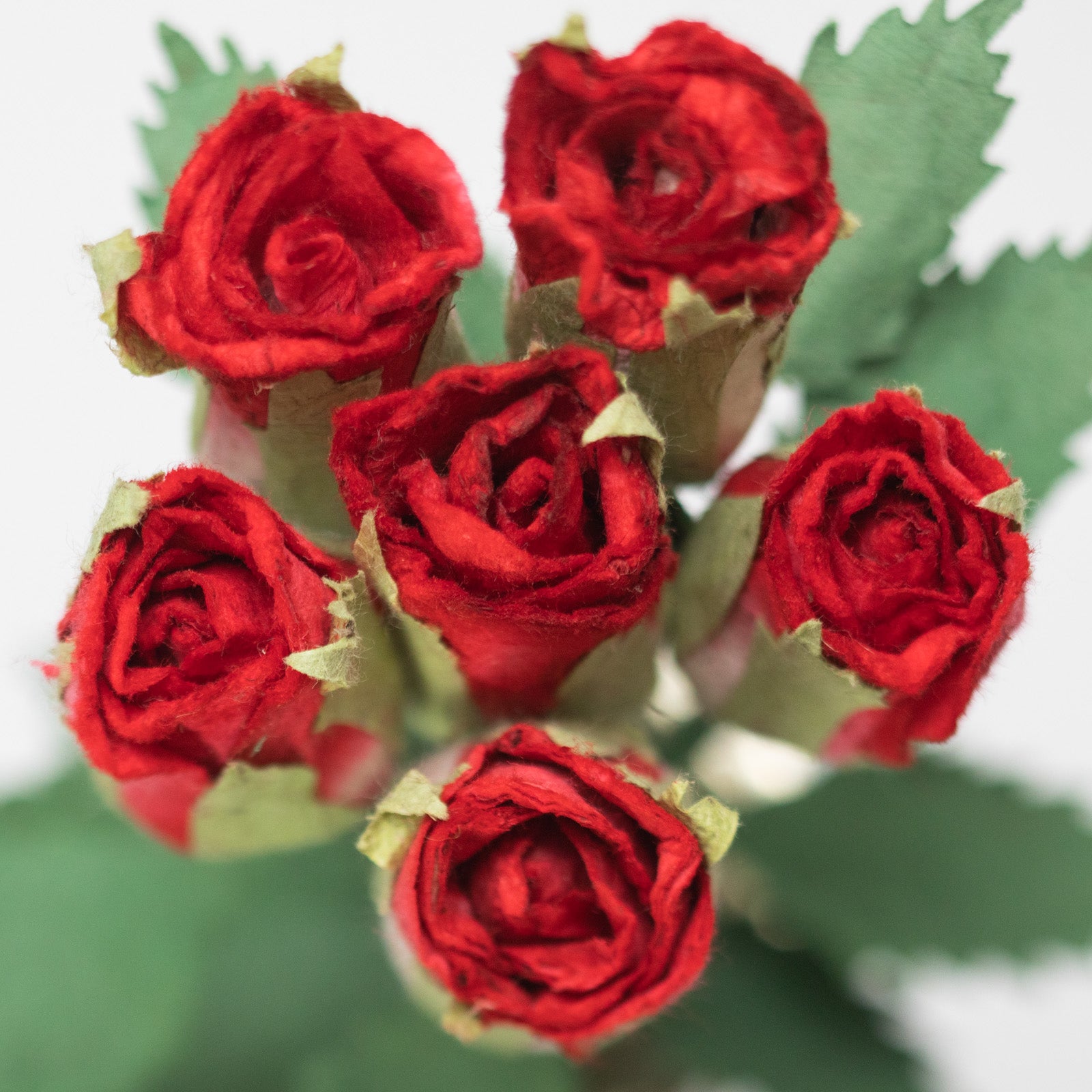 paper flower Bouquet of Six Red, Eco-Friendly, Sustainable POOPOOPAPER Roses - Top View