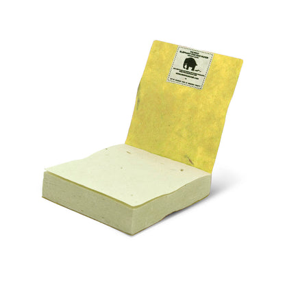 Savannah Sunset Scratch Pad - Cheetah - Yellow - Set of 3