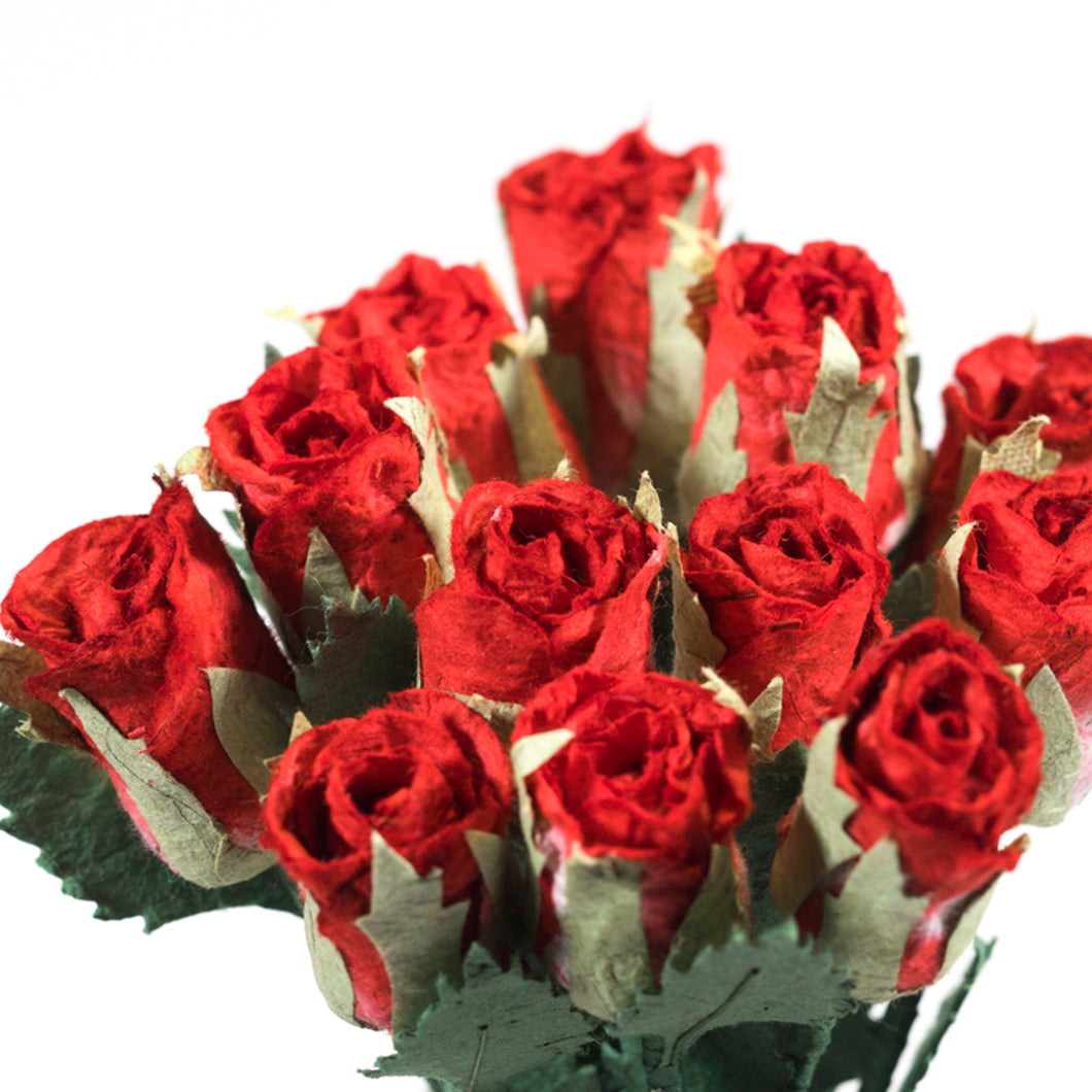 Bouquet of Twelve - Red, Eco-Friendly, Sustainable, Roses and Card made from Elephant, Cow or Horse POOPOOPAPER.