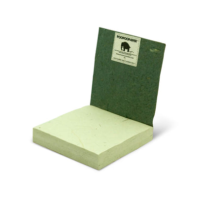 Jungle Safari - Jaguar Scratch Pad  - Set of 3