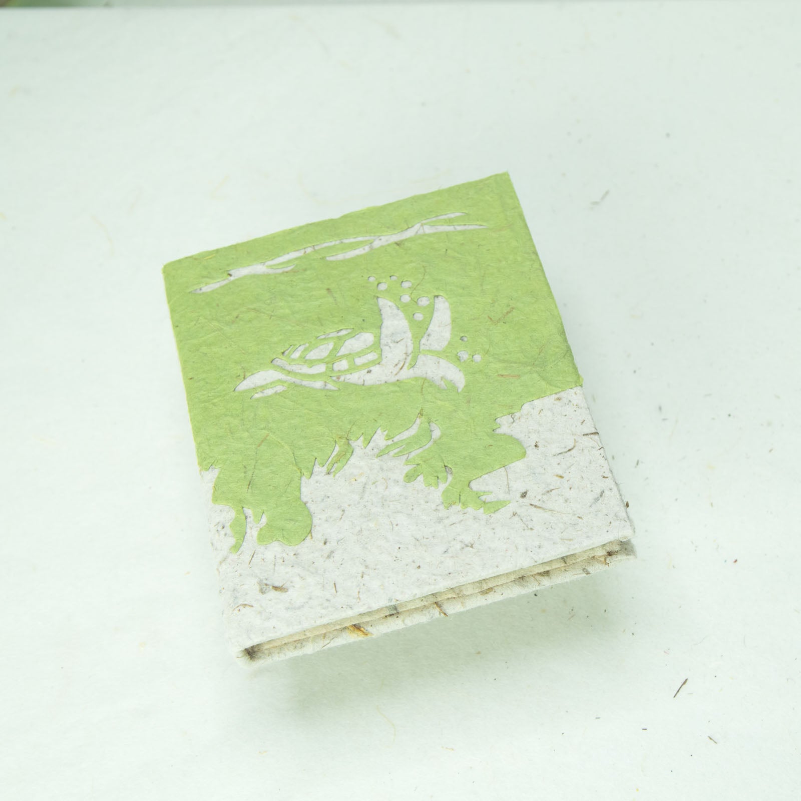 Sea Life Sea Turtle Mini Ecofriendly Journal - Front